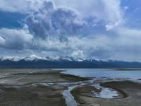 夏日青海湖
