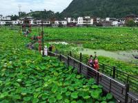 貴州岑鞏：人居環(huán)境整治 扮靚美麗鄉(xiāng)村