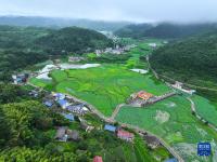 貴州岑鞏：人居環(huán)境整治 扮靚美麗鄉(xiāng)村