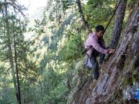 西藏察隅：喜馬拉雅深處的“采山人”
