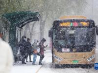 哈爾濱遭遇暴雪天氣
