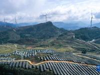 贵州石阡：绿色能源开发前景广阔
