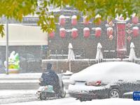 沈陽迎來大范圍降雪
