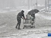 沈陽(yáng)迎來(lái)大范圍降雪
