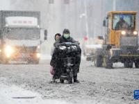 哈爾濱遭遇暴雪天氣
