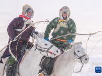 白驹踏瑞雪
