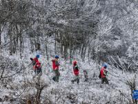 湖北神農(nóng)架：迎冰雪 保供電
