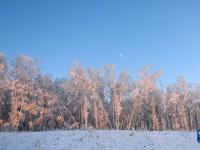 美麗中國(guó)丨林海雪原 美如畫(huà)卷
