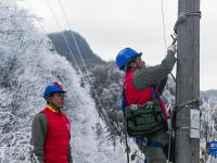 湖北神農(nóng)架：迎冰雪 保供電
