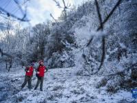 湖北神農(nóng)架：迎冰雪 保供電
