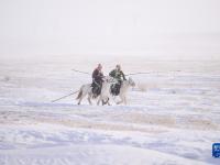 白驹踏瑞雪
