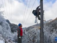 湖北神農架：迎冰雪 保供電
