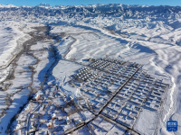 天山村雪趣
