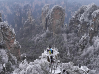 峰林雪景引游人
