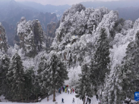 峰林雪景引游人
