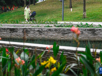 深圳：花開(kāi)春意暖
