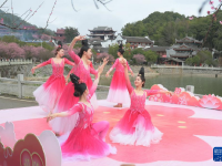 福州：千年古刹举办梅花文化节
