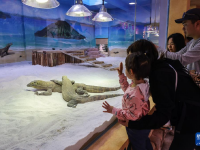 科莫多巨蜥在广州长隆亮相
