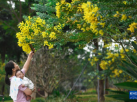 深圳：花開(kāi)春意暖
