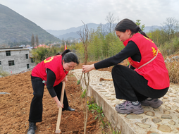 城步儒林镇开展“弘扬生态文明 共建绿色儒林”义务植树活动