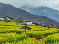 雨潤(rùn)隴南
