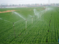 山东潍坊：小麦春季灌溉忙
