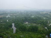 尋蹤野外揚(yáng)子鱷