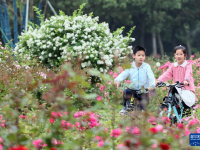 走進(jìn)嘉興植物園
