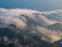 飛閱中國｜重慶金佛山：云繞山巒