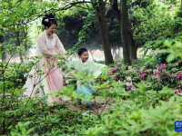 走進嘉興植物園
