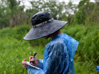 尋蹤野外揚(yáng)子鱷