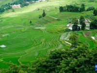 美麗中國(guó)丨雨后哈尼梯田