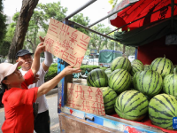 蘭州：應季瓜果攤點助農(nóng)增收
