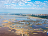 鹽湖“變身” 山明水秀