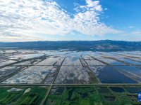 鹽湖“變身” 山明水秀