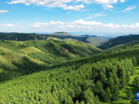 夏日大青山
