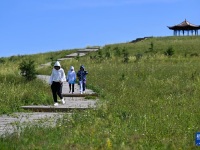 夏日大青山
