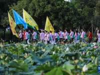 “莲子之乡”开启夏日乡村荷花节
