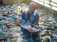 河南洛陽：魚躍人歡夏捕忙
