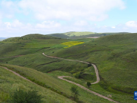 探訪寧夏云霧山國(guó)家級(jí)自然保護(hù)區(qū)
