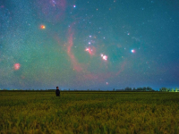 豐收田野“約會”浪漫星空
