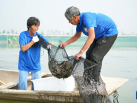 山東東營：大閘蟹進(jìn)入捕撈銷售旺季
