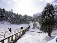 雪落官鵝溝
