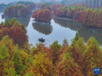 江蘇盱眙：山水冬韻
