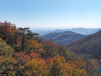 漫山秋葉 層林盡染
