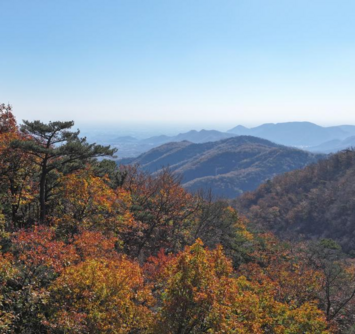 漫山秋葉 層林盡染