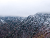 官鵝溝雪后美如畫
