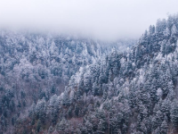 官鵝溝雪后美如畫
