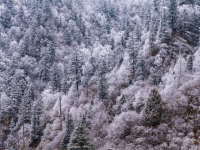 官鵝溝雪后美如畫
