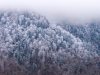 官鵝溝雪后美如畫
